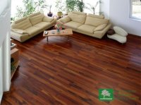 SC NATURAL HOME PARCHET SRL 27462